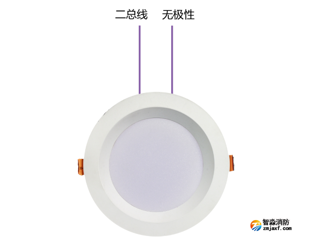 集中电源集中控制型应急照明灯具（嵌顶式）接线图