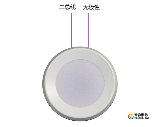 集中电源集中控制型应急照明灯具（吸顶式）接线图