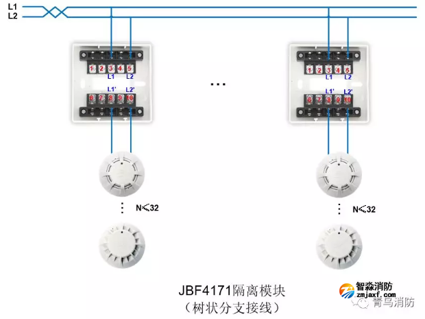 JBF4137隔离模块树形接线接线图