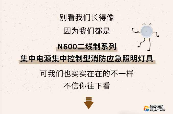 海湾半岛(中国)N600二线制系列集中电源集中控制型半岛(中国)应急照明灯具介绍